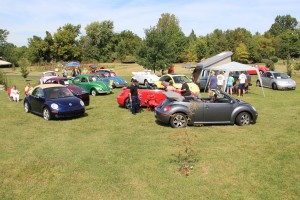 Bugs in the Garden - VW Show @ Western Kentucky Botantical Gardens | Owensboro | Kentucky | United States