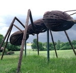 Big Bugs