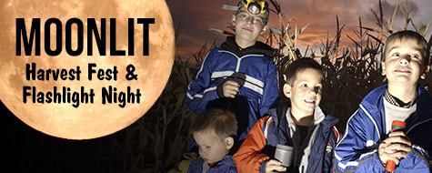 promo-moonlit-fest