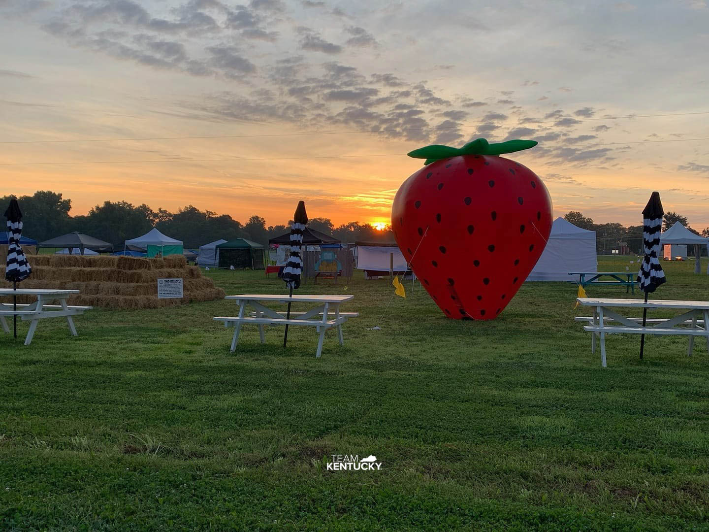 Daviess County To Hold Strawberry Festival In June Visit Owensboro KY