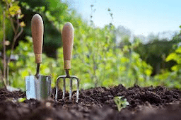 1st WeekEnd Wonders: Volunteer Work Session @ Western Kentucky Botanical Garden | Owensboro | Kentucky | United States