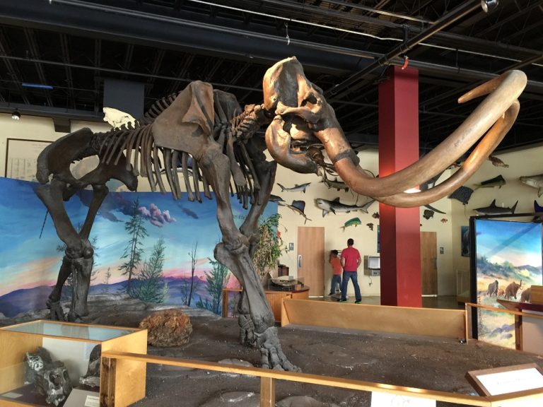 Top 3 Things to Do in Owensboro This Weekend Jan 57 Visit Owensboro, KY