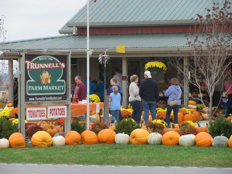 Fall Festivals Visit Owensboro, KY